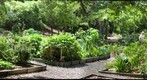 Foster Community Garden 2