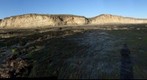 111125 Goleta, California, Haskell beach, seagrass and bluffs at low tide