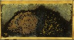 Healthy Frame Progression July 5