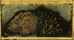 Healthy Frame Progression July 6