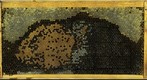 Healthy Frame Progression July 11