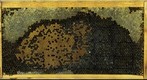 Healthy Frame Progression July 13