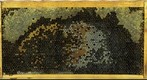 Healthy Frame Progression July 15