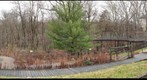 SEEC's Pollinator Garden: Wheeling, WV