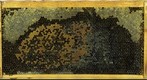 Healthy Frame Progression July 14