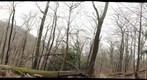 Hardwood Ridge: Wheeling, WV