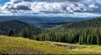 East Yellowstone