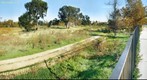Yesterday & Today - Madrona Marsh - Torrance, CA December 23 2011 G-90 - John Post