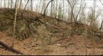 Wissahickon Slope