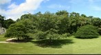 Palenque