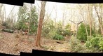 My backyard, Atlanta, Georgia