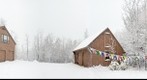 Prayer Flags in Snow