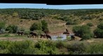 Addo Elephant Park