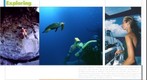 Odyssey Expeditions Brogure pages 4-5