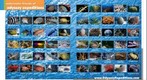 Odyssey Expeditions Brochure Pages 14-15