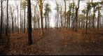 Dairy Bush GigaPan - 122 - December 22 2011