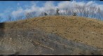Brallier / Chemung Formations, new New Route 55 West Virginia