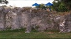 Limestone outcrop at Alice C. Wainwright Park, Miami, FL