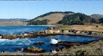 Moss Cove, Pt Lobos, California