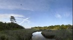 View North for an Hour at Little St. Simons Island (small version)