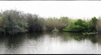Anhinga Trail boardwalk in Everglades National Park