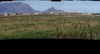Rietvlei Wetland Area, Cape Town