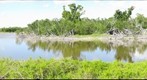Eco Pond, Everglades National Park