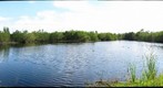 Mrazek Pond, Everglades National Park
