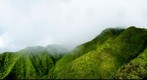 Konahuanui8