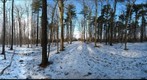 Dairy Bush GigaPan - 123 - January 04 2012