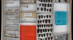 Scirtidae 2, Dascillidae, Cneoglossidae, and Rhipiceridae
