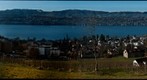 Erlenbach View over the Lake Zurich
