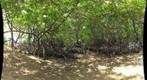 Pontal de Maracaipe