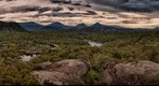 Pagoda Lookout - Dunn's Swamp