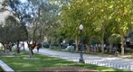 Plaza de Espana de Madrid