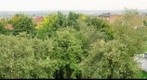 The view from my balcony