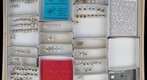 Miridae 6