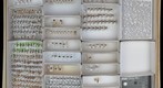 Miridae 10