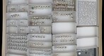 Miridae 21