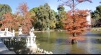 El Retiro de Madrid