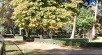 El Retiro de Madrid