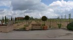 Entorno de Bodegas Martúe. La Guardia (Toledo)