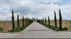 Entorno de Bodegas Martúe. La Guardia (Toledo)
