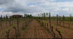 Entorno de Bodegas Martúe. La Guardia (Toledo)