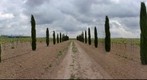 Entorno de Bodegas Martúe. La Guardia (Toledo)