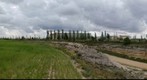 Entorno de Bodegas Martúe. La Guardia (Toledo)