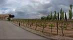 Entorno de Bodegas Martúe. La Guardia (Toledo)