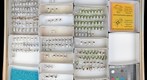Miridae 22