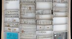 Miridae 31