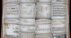 Miridae Receiving 2